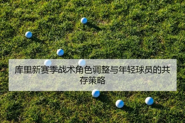 ku-li-xin-sai-ji-zhan-shu-jue-se-tiao-zheng-yu-nian-qing-qiu-yuan-de-gong-cun-ce-lve-2-712.jpg